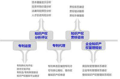 容知识产权——数据库管理及咨询服务介绍
