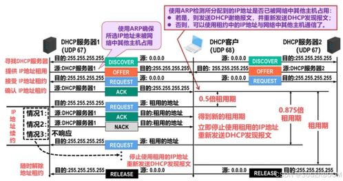 Windows系统管理基础 DHCP部署与安全及数据库管理咨询服务